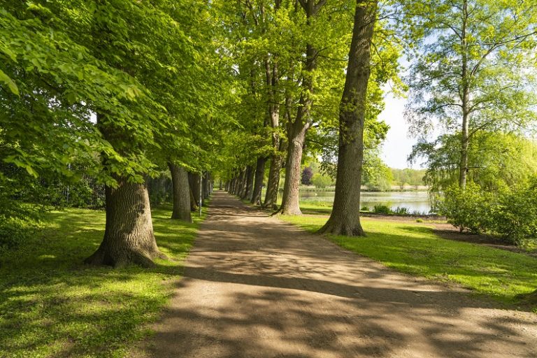 Bad Schwartau Kurpark Baum Allee Haus am Großen Krug